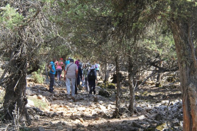 Doğaseverlere Beyşehir Gölü Hacıakif Adası tanıtıldı