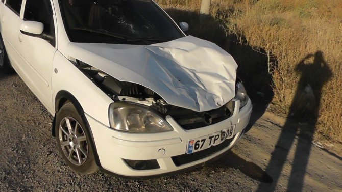 Başıboş eşek kazaya sebep oldu