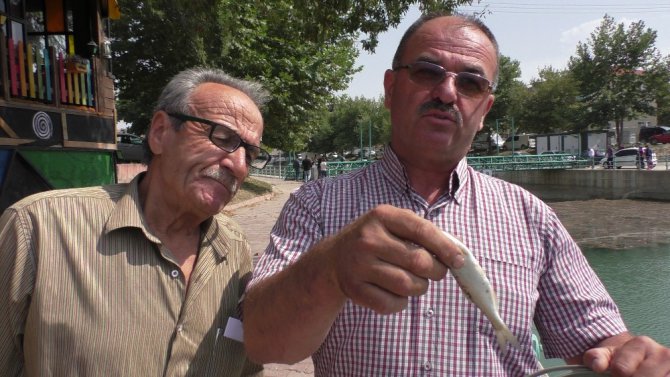 Beyşehir Gölü’nden kanala yavru balık akışına tepki