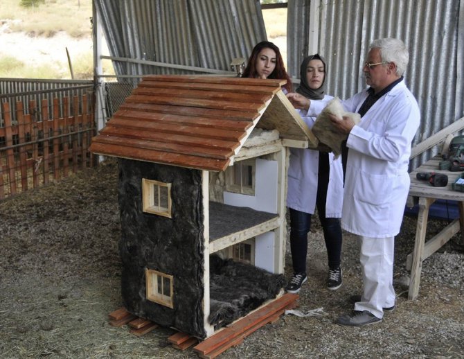 Selçuk Üniversitesi, koyun yününden ısı yalıtım malzemesi geliştirdi