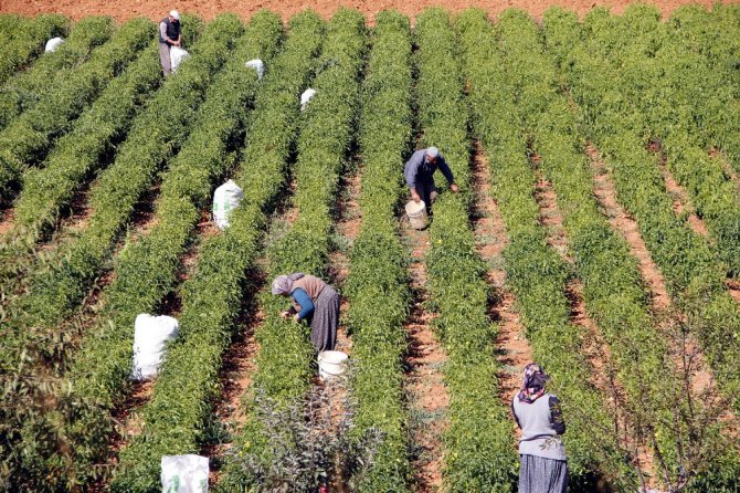 Doğanhisar’da sulama yatırımları hızlandı