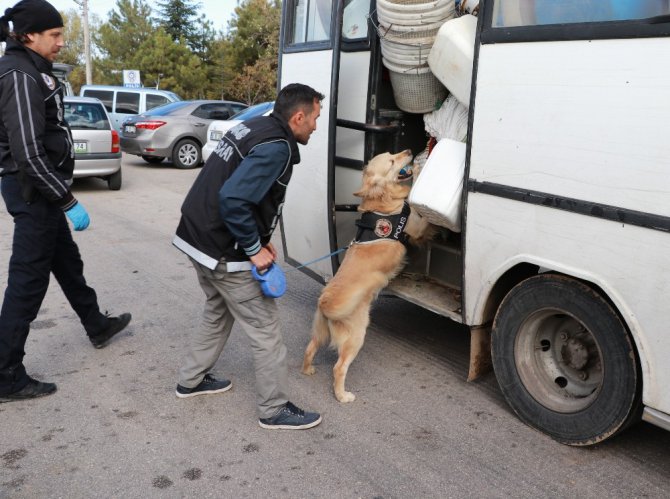 Aksaray’da Suriyeliler 220 kilo esrarla yakalandı