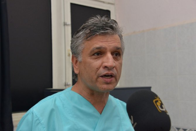 Silahla vurularak yaralanan at, Selçuk Üniversitesinde rehabilite ediliyor