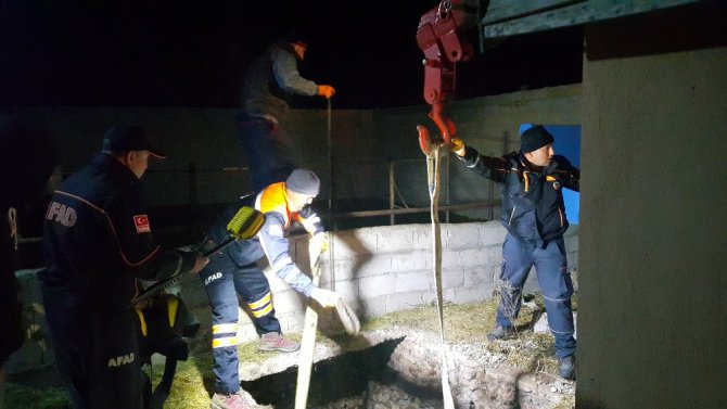 Foseptik çukuruna düşen boğa kurtarıldı