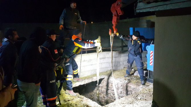 Foseptik çukuruna düşen boğa kurtarıldı