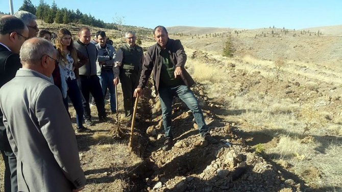Yunak’ta bin adet fidan toprakla buluşturuldu