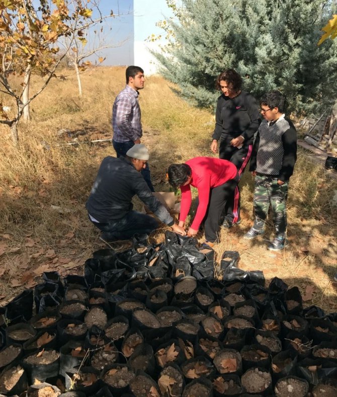 Aksaray’da özel çocuklar ağaç dikti