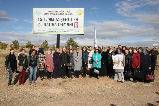 Aksaray’da ‘Gönül Elçileri’ projesi kapsamında fidan dikimi yapıldı