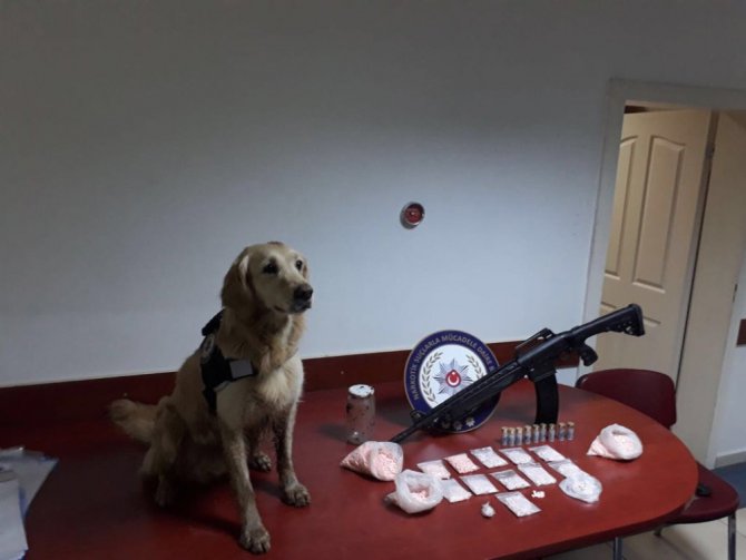 Aksaray’da toprağa gömülmüş 4 bin 665 uyuşturucu hap ele geçirildi