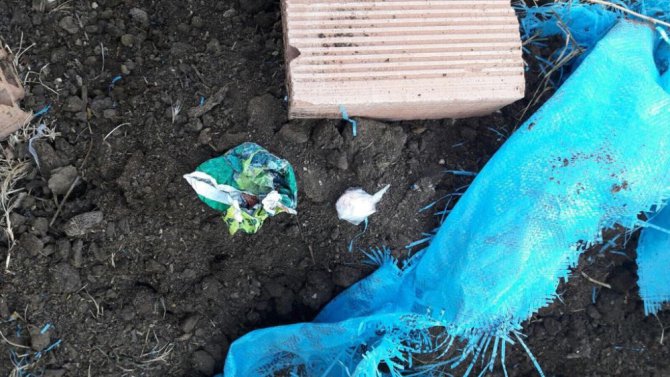 Aksaray’da toprağa gömülmüş 4 bin 665 uyuşturucu hap ele geçirildi
