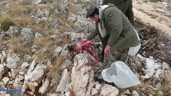 Koruma altındaki türlerden dağ keçisi avına 16 bin lira ceza