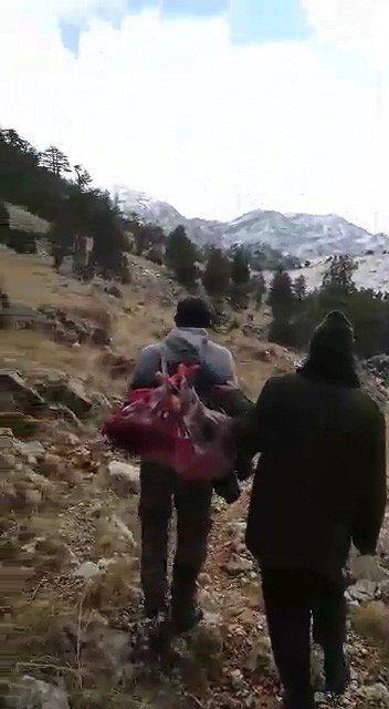 Koruma altındaki türlerden dağ keçisi avına 16 bin lira ceza