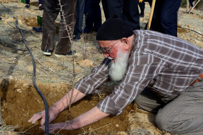 Huzurevi sakinleri fidan dikti