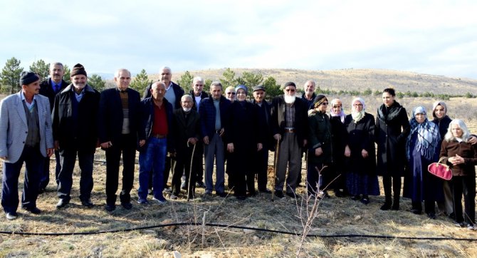 Huzurevi sakinleri fidan dikti