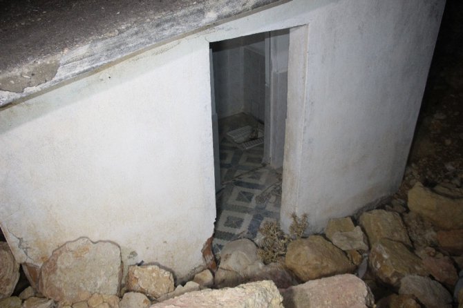Domuz bağı yöntemiyle bağlanarak ölüme terk edildi