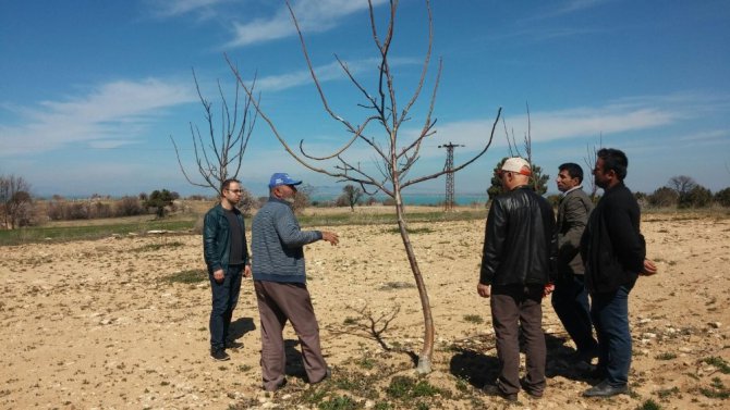Beyşehir’de meyve üreticisine uygulamalı budama eğitimi