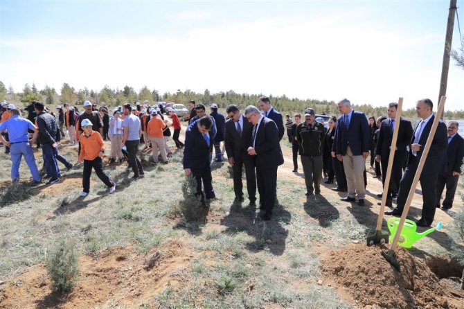 Daha yeşil bir Aksaray için fidanlar toprakla buluştu