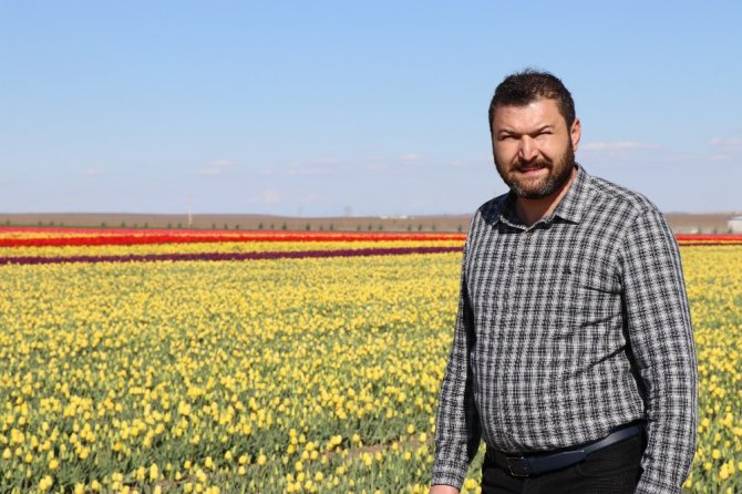 Konya Ovası milyonlarca lale ile rengarenk