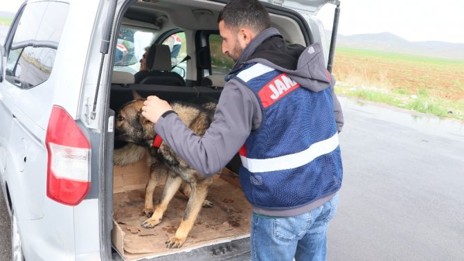 Aksaray’da jandarma ekiplerinden uygulama