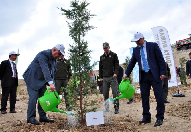 NEÜ’de yüzlerce fidan toprakla buluşturuldu