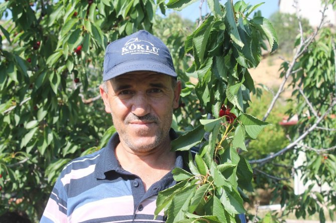 Bir dalda iki kiraz ’biri al biri beyaz’