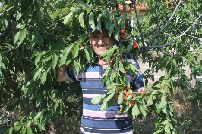 Bir dalda iki kiraz ’biri al biri beyaz’