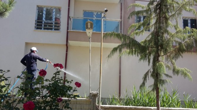 Beyşehir’de Belediyesinden tırtıl mücadelesi
