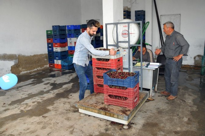 Tescilli Akşehir kirazı yüz güldürmüyor