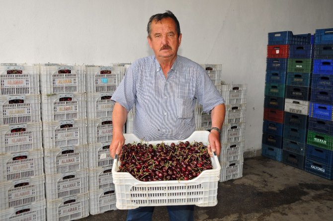 Tescilli Akşehir kirazı yüz güldürmüyor