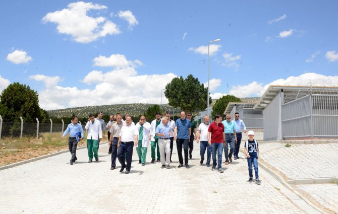 Türkiye’nin en modern hayvan barınaklarından biri Konya’da