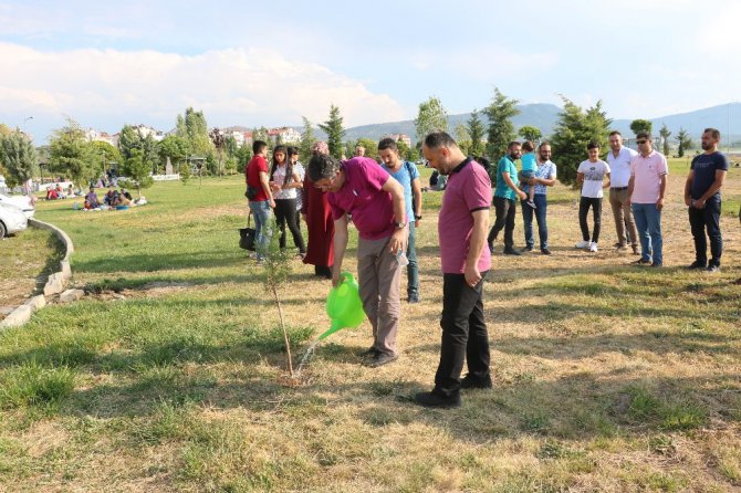 Uluslararası Beyşehir Göl Festivali sürüyor