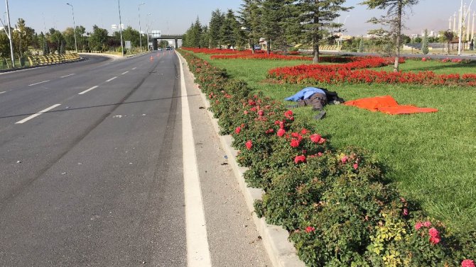 Refüjdeki çiçekleri sulamak isterken otomobilin çarpması sonucu öldü