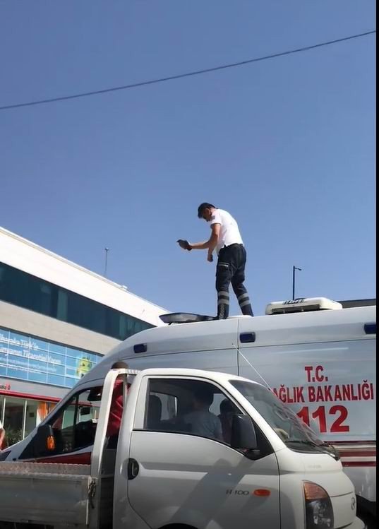 112 çalışanı bu kez insan hayatını değil güvercinin canını kurtardı