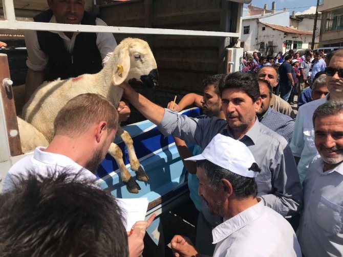 Derbent’te küçükbaş hayvan desteği