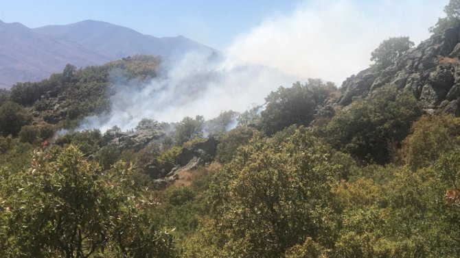 Aksaray’da orman yangını