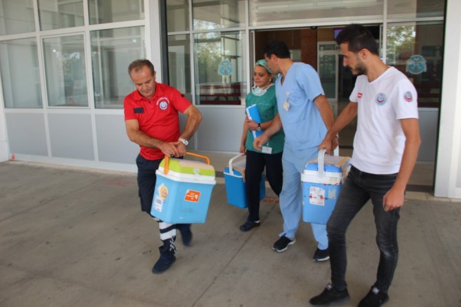 Şehit polisin organları 3 kişiye umut olacak