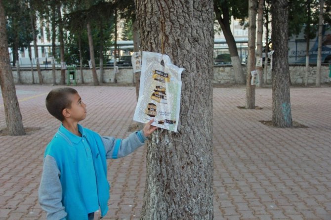 Ereğli’de ağaçlar kitap açtı