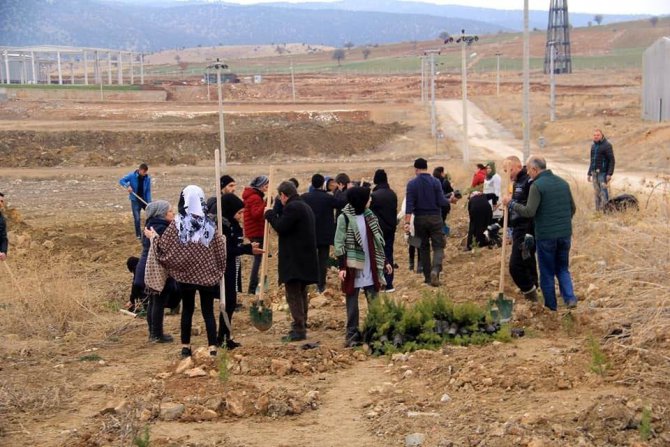 Beyşehir OSB’de fidan dikim etkinliği