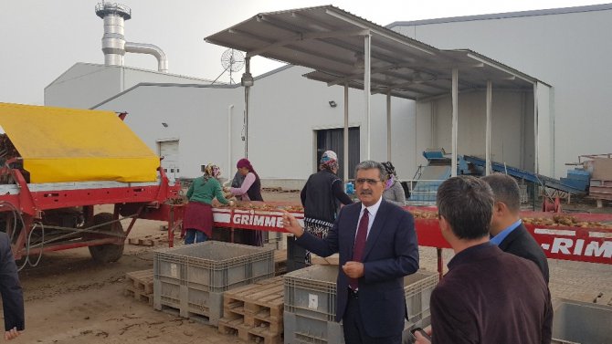 Konya Şeker bir tesis yaptı Konya’da patates üretimi 3’e katlandı