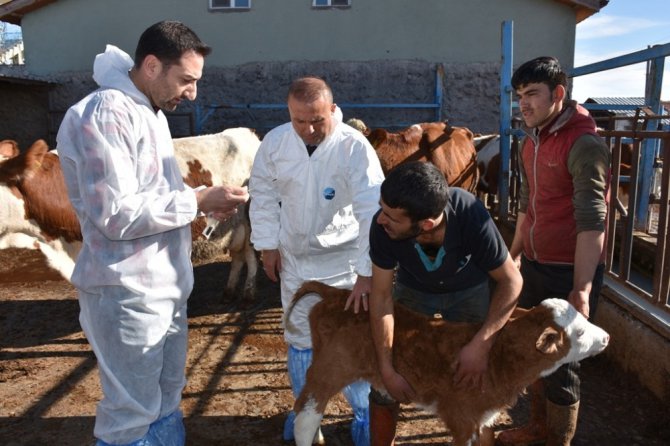 Aksaray’da üreticiler hayvan hastalıkları konusunda bilgilendirildi