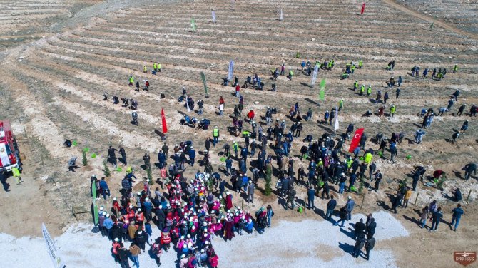 SÜ’de “Orman Haftası ve Ağaç Bayramı” kutlandı