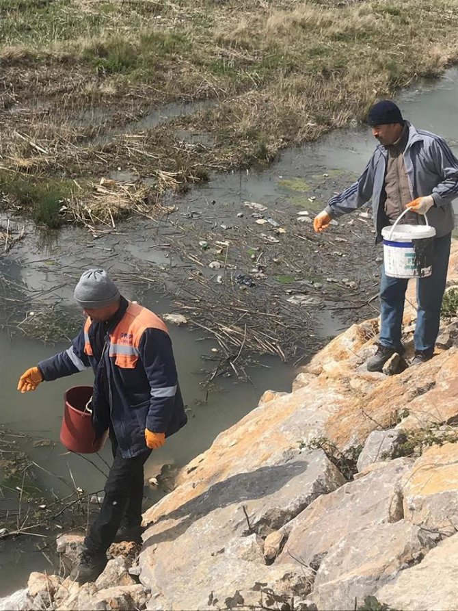 Beyşehir’de sineğe karşı ilaçlama seferberliği