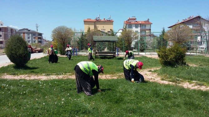 Beyşehir’in park ve bahçeleri kadınlara emanet