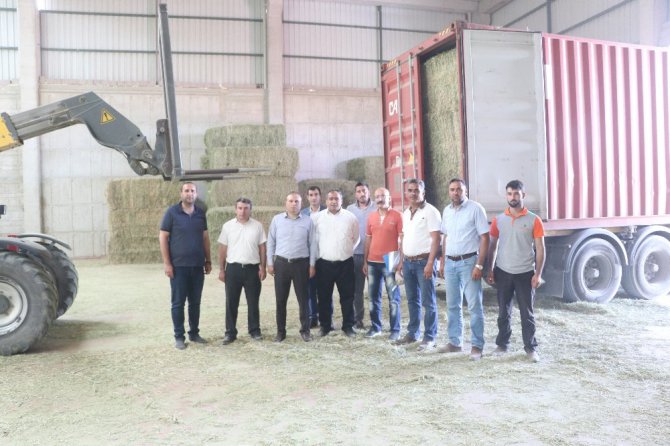 Aksaray’da yurt dışına yonca ihracatı başladı
