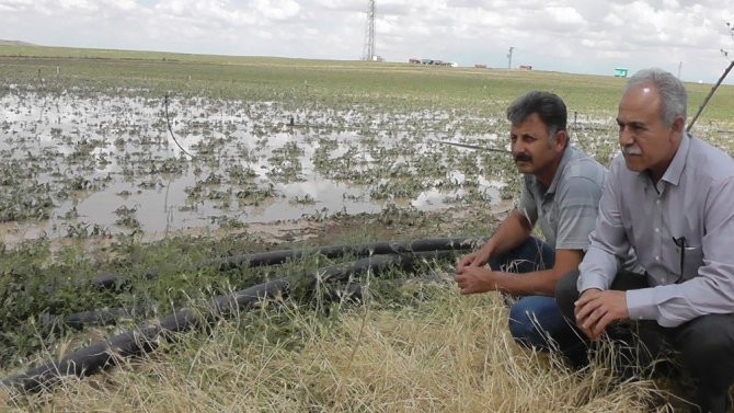 Kulu’da dolu yağışı sonrası hasar tespiti yapıldı