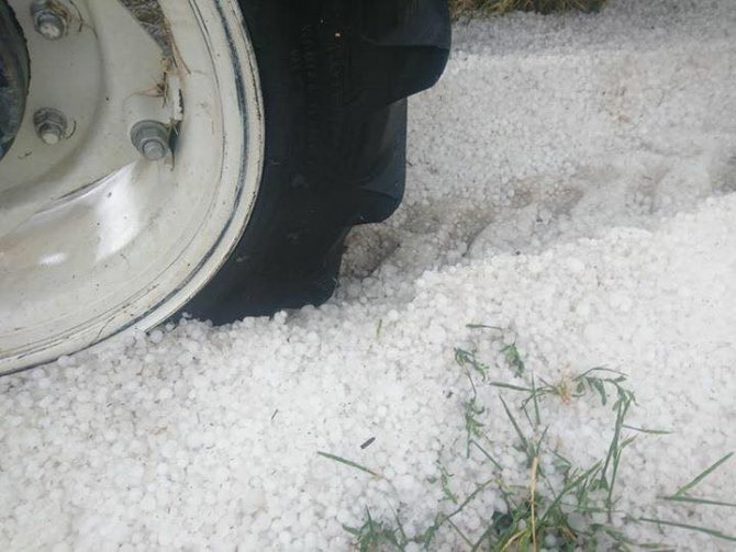 Konya Kulu’da dolu ekili arazilerde zarara neden oldu