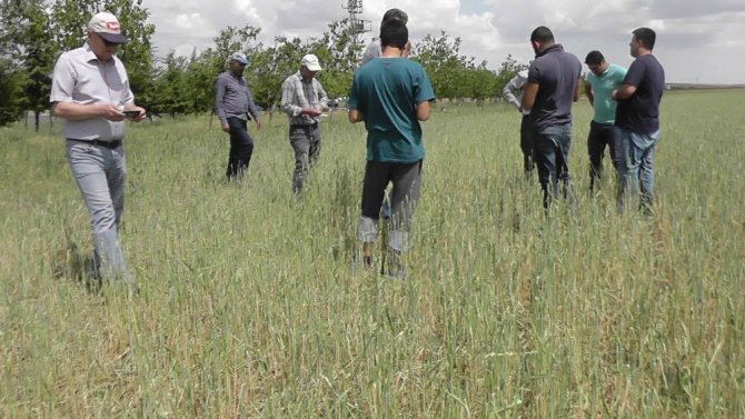 Kulu’da dolu yağışı sonrası hasar tespiti yapıldı