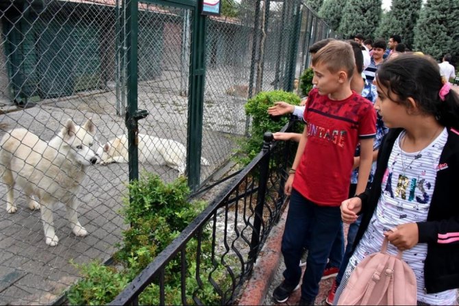 Karatay’dan öğrencilere Bilim Merkezi ve hayvanat bahçesi gezisi