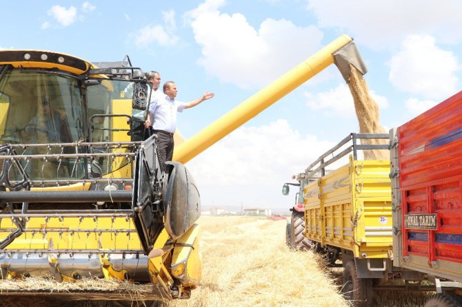 Arpa üretiminde Türkiye 6’ncısı Aksaray’da hasat başladı