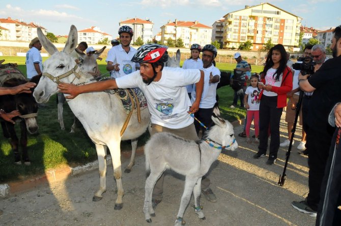 Eşekler birinci olabilmek yarıştı